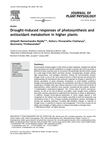 Drought-induced responses of photosynthesis and antioxidant