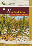 Pingao - ecology - Dune Restoration Trust