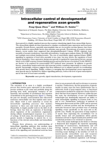 Intracellular control of developmental and regenerative axon growth