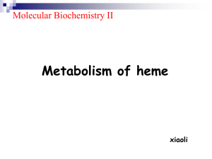 Metabolism of heme