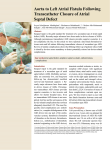 Aorta to Left Atrial Fistula Following Transcatheter Closure of Atrial