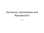 Topic 6.6 Hormones, Homeostasis and Reproduction