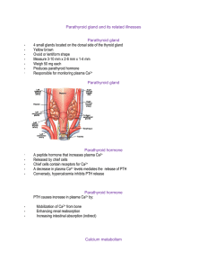 Parathyroid gland and its related illnesses Parathyroid gland 4 small