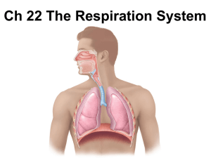 Respiratory Ch 22-Student