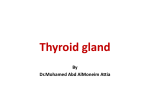 Thyroid gland and antithyroid drugs