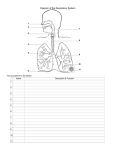 Printable Blackline Diagram of The Respiratory System