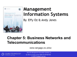 Business Networks and Telecommunications