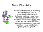 Hydrogen bonds - Greeley Schools