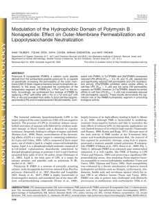PDF - Molecular Pharmacology