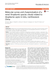 Molecular survey and characterization of a novel Anaplasma
