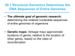 20.1 Structural Genomics Determines the DNA Sequences of Entire