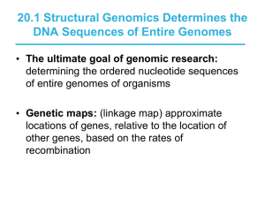 20.1 Structural Genomics Determines the DNA Sequences of Entire