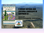 Ironwood Forest National Monument