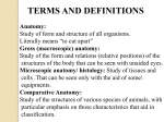 3_ Anatomy terms com..