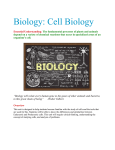 studyguide-cellbiology-m-th-quarter-2