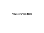 Neurotransmittersand drugs - New Paltz Central School District