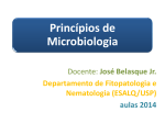 Introdução ao curso e Classificação de microrganismos Arquivo