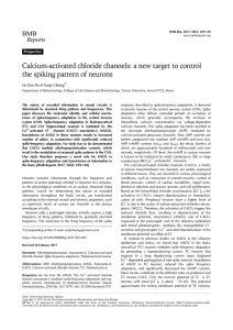 Calcium-activated chloride channels: a new target to