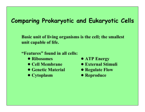 Comparing Prokaryotic and Eukaryotic Cells