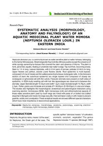 SYSTEMATIC ANALYSIS (MORPHOLOGY, ANATOMY AND