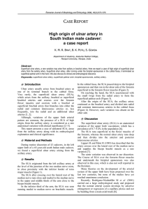High origin of ulnar artery in South Indian male cadaver
