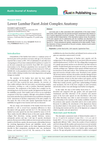 Lower Lumbar Facet Joint Complex Anatomy