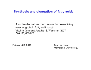 Synthesis and elongation of fatty acids