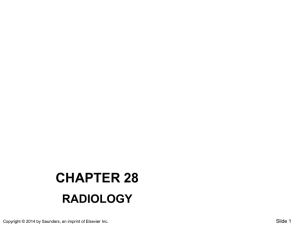 chapter 28 radiology