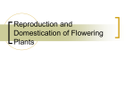 Reproduction and Domestication of Flowering Plants