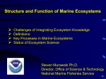 Structure and Function of Marine Ecosystems