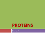 Proteins- Fall 13