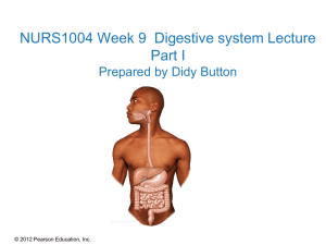 Digestive Tract