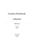 Country Notebook: Lebanon - MKT432