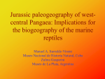 Jurassic paleogeography of the Caribbean