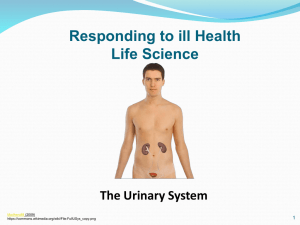 L8 Urinary PPt - Moodle