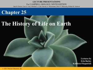 25_Lecture_Presentation
