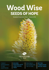 seeds of hope - The Woodland Trust