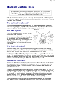 Thyroid Function Tests