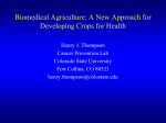 Colorado State University Crops for Health TM