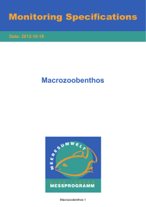 Macrozoobenthos