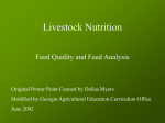 Livestock Nutrition