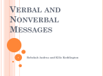 Verbal and Nonverbal Messages