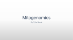 Mitogenomics - UNM Biology