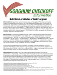 Sorghum Nutritional Attributes