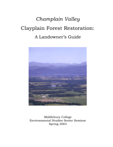 Champlain Valley Clayplain Forest Restoration