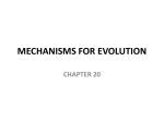 MECHANISMS FOR EVOLUTION