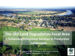 The GEF Land Degradation Focal Area - GEF-STAP