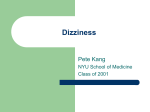 Dizziness - Pil (Pete) Kang