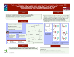 The impact of dietary methyl donors on whole