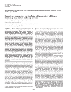 Experience-dependent corticofugal adjustment